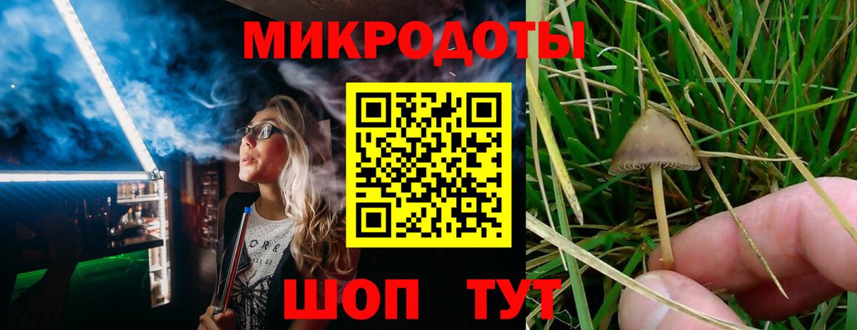 Галлюциногенные грибы ЛСД  Вход с VPN  Галлюциногенные грибы Psilocybe  Мичуринск 