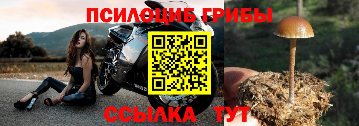 Псилоцибиновые грибы MAGIC MUSHROOMS Мичуринск